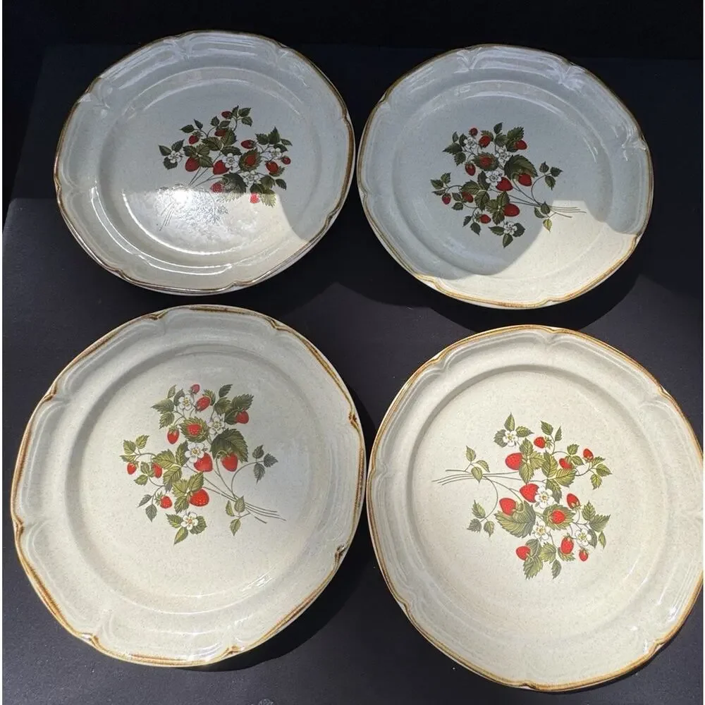 6 Vintage 1960’s Endura Collection LA FRAISE Strawberries 10.5